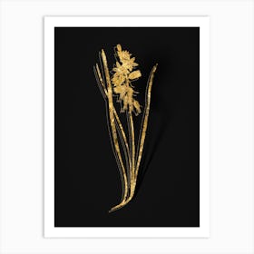 Vintage Drooping Star of Bethlehem Botanical in Gold on Black n.0519 Art Print