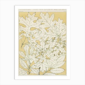 Vintage Pattern Illustration, Owen Jones                      Art Print