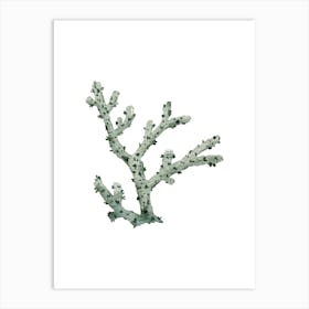 Coral Branch Art Print