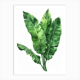 Banana Leaf 13 Art Print