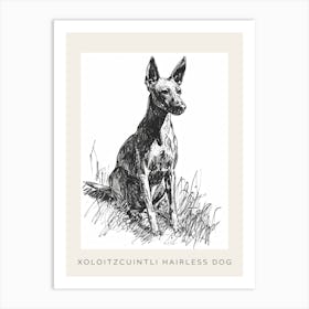 Xoloitzcuintli Hairless Dog Line Sketch 3 Poster Art Print