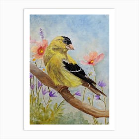 Early Spring American Goldfinch Art Print