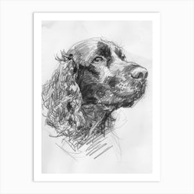 American Water Spaniel Dog Charcoal Line 1 Art Print