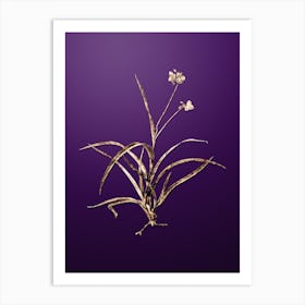 Gold Botanical Spiderwort on Royal Purple n.2517 Art Print