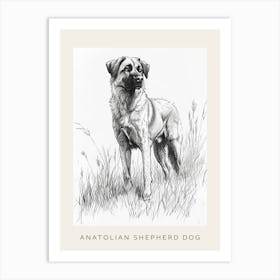 Anatolian Shepherd Dog Line Sketch 3 Poster Art Print