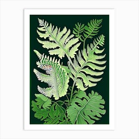 Maidenhair Fern 1 Vintage Botanical Poster Art Print