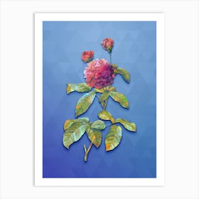 Vintage Agatha Rose In Bloom Botanical Art on Blue Perennial n.1235 Art Print