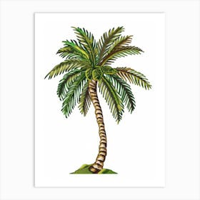 Palm Tree 33 Art Print