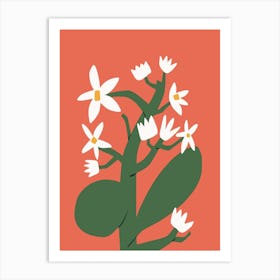 White Blossom In Red Art Print