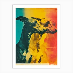 Polaroid Dog Portrait 1 Art Print