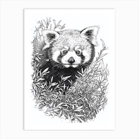 Red Panda Hiding In Bushes Ink Illustration 1 Art Print