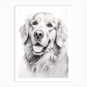 Golden Retriever Dog, Line Drawing 2 Art Print