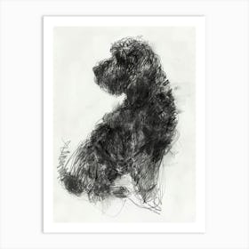 Spanish Water Dog Dog Charcoal Line 1 Art Print