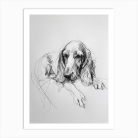 Basset Hound Dog Charcoal Line 1 Art Print