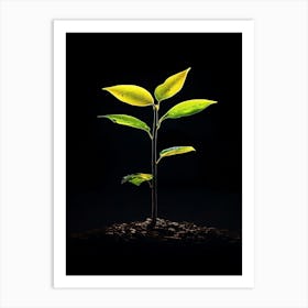 Tree Growing From The Ground Art Print