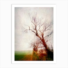 A Field Of Flodden Art Print