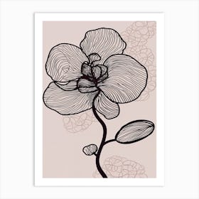 Line Art Orchids Flowers Illustration Neutral 15 Art Print