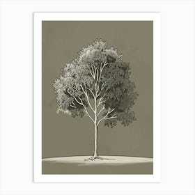 Ash Tree Minimalistic Drawing 4 Art Print