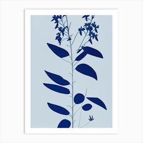 Blue Cohosh Herb Simplicity Art Print