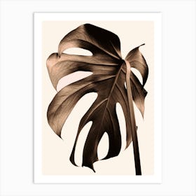 Monstera Leaf Brown_2242697 Art Print