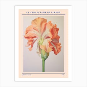 Amaryllis French Flower Botanical Poster Art Print