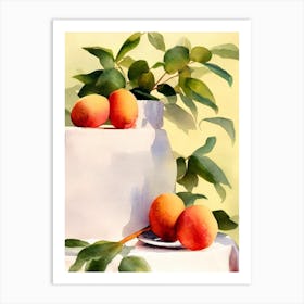 Longan 2 Italian Watercolour fruit Art Print