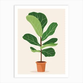 Fig Tree 3 Art Print