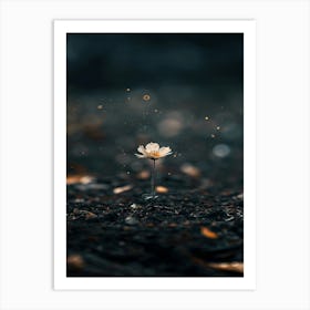 Single Flower In The Dark 73 Art Print