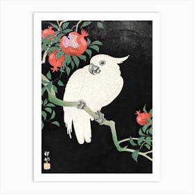 Cockatoo And Pomegranate, Ohara Koson Art Print