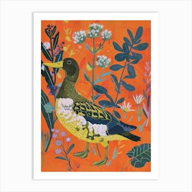 Spring Birds Canvasback 1 Art Print