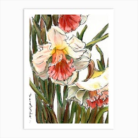 Spring Daffodils Watercolor Sketch Art Print