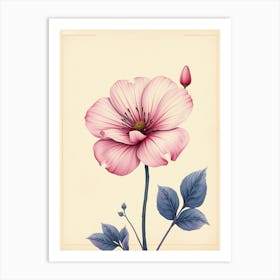 Pink Flower In A Frame Art Print