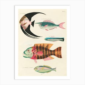 Colourful And Surreal Illustrations Of Fishes Found In Moluccas (Indonesia) And The East Indies, Louis Renard (72) Art Print