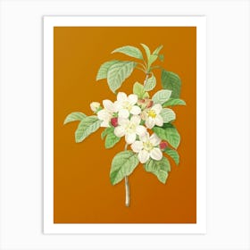 Vintage Apple Blossom Botanical on Sunset Orange n.0475 Art Print