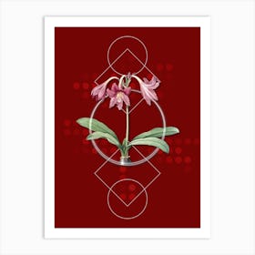 Vintage Netted Veined Amaryllis Botanical with Geometric Line Motif and Dot Pattern n.0142 Art Print