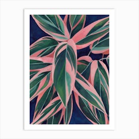 Calathea Triostar 3 Art Print