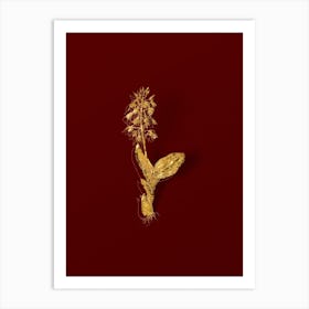 Vintage Brown Widelip Orchid Botanical in Gold on Red n.0363 Art Print