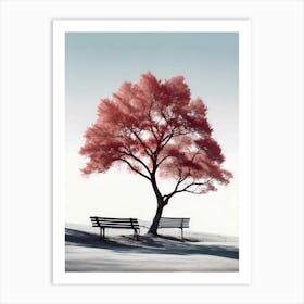 Tree And A Bench Art Print