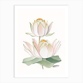 Double Lotus Pencil Illustration 5 Art Print