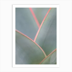 Soft botanical art print green and pink Art Print