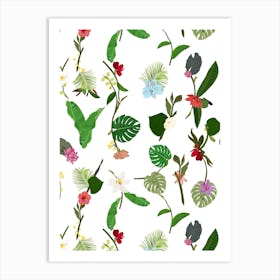 Botanical Tropic Flowers Art Print