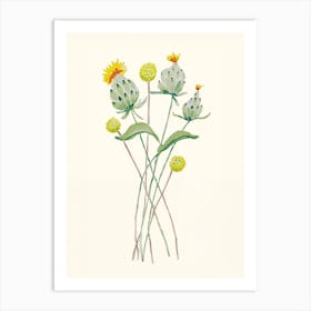 Billy Button Wildflowers Painting Art Print