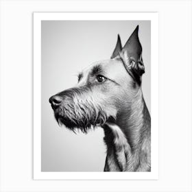 Wirehaired Vizsla B&W Pencil Dog Art Print