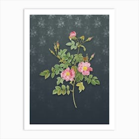 Vintage Pink Rosebush Bloom Botanical on Slate Gray Pattern n.0881 Art Print