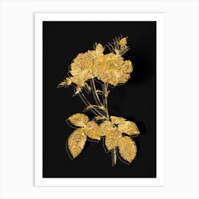 Vintage Damask Rose Botanical in Gold on Black n.0148 Art Print