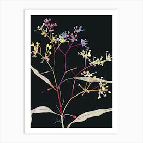 Neon Flowers On Black Babys Breath 5 Art Print