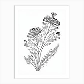 Caraway Herb William Morris Inspired Line Drawing 3 Art Print