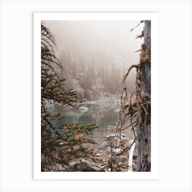 Lake Through Trees Art Print