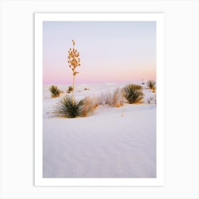 Pink Desert Sunset Art Print