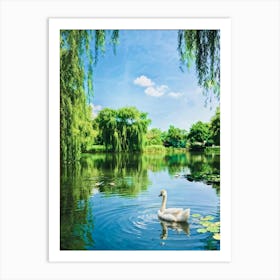 Swan In Pond 1 Art Print